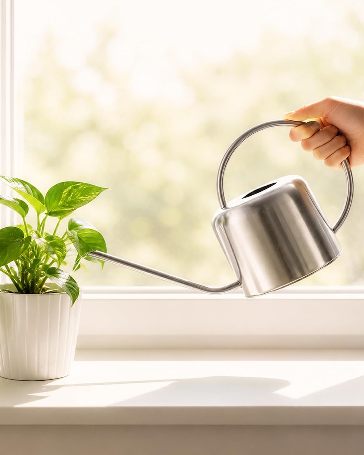 Bamworld 1L Stainless Steel Watering Can