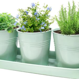 3-Pack Zinc Herb Garden Planter Set with Tray