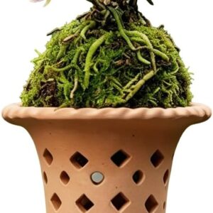 Handmade Terracotta Orchid Planter Set, Japanese Style