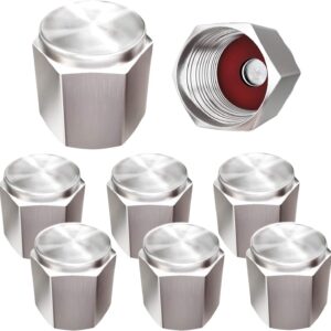 Brass Tire Valve Caps (8-Pack) – Chrome Silver Metal Dust Covers