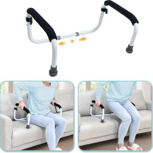 NEAUDE Couch Stand Assist Chair Lift Aid for Seniors & Mobility