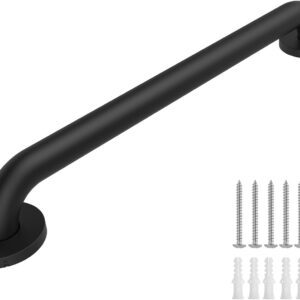 Raemnaky Stainless Steel Shower Grab Bar, 12", 500 LBS